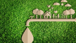 صرفه‌جویی در مصرف آب | راهکارهای ساده